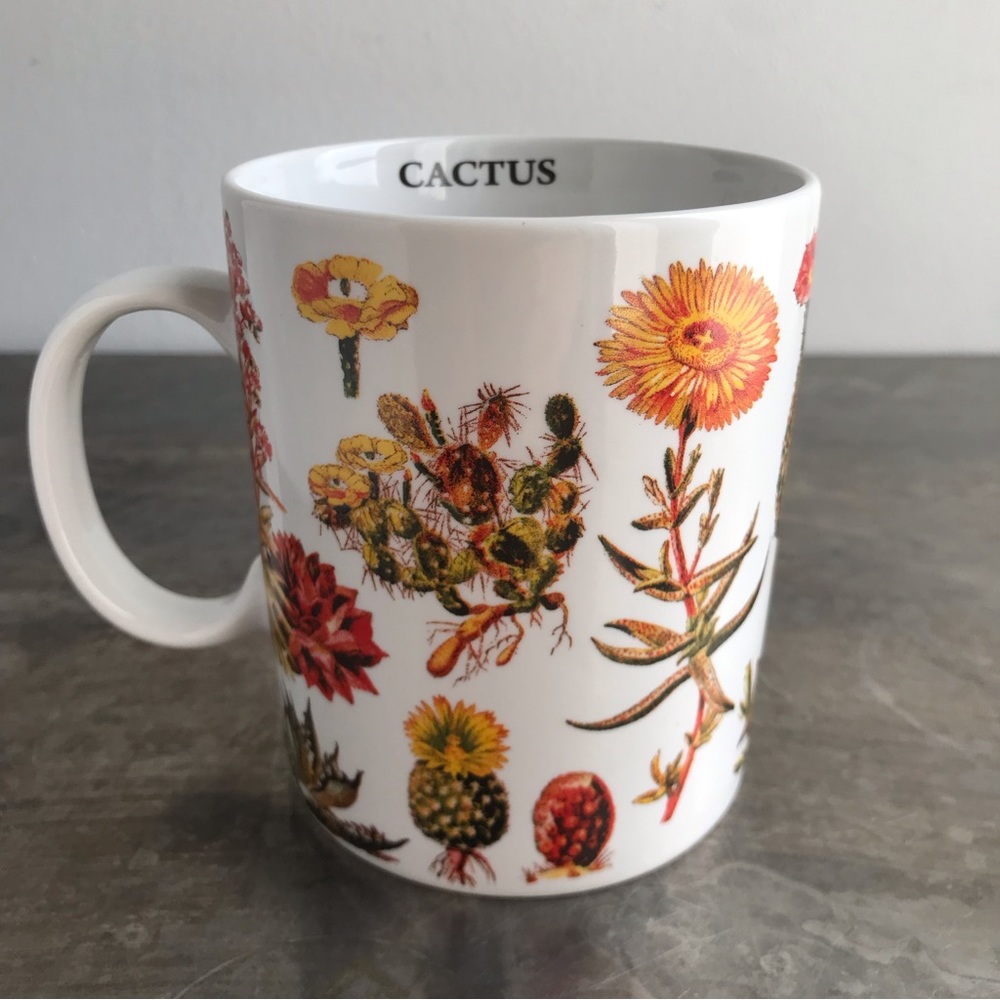 Succulents / Cactus Mug with vintage drawings